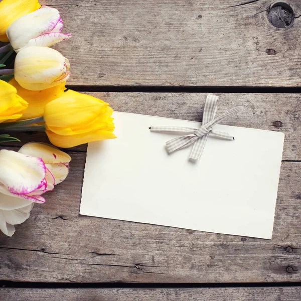 Tulipany wiosna żółty i biały — Zdjęcie stockowe