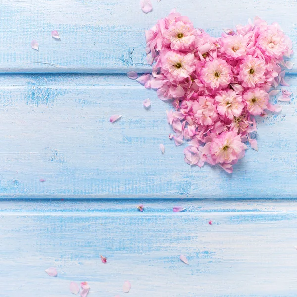 Herz aus rosa Blüten und Blütenblättern — Stockfoto