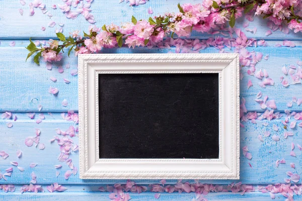 Pink flowers  and empty blackboard — Stock Photo, Image