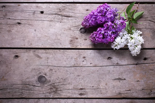 Лиловые цветы на старых деревянных досках — стоковое фото