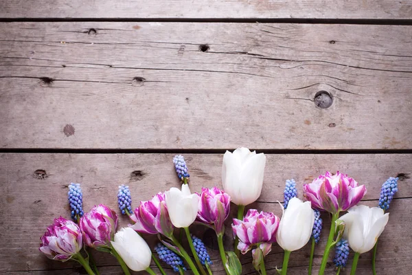 Tulpaner och muscaries blommor — Stockfoto