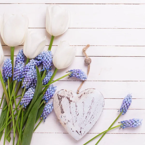 Blaue Muskarien Blumen und dekoratives Herz. — Stockfoto