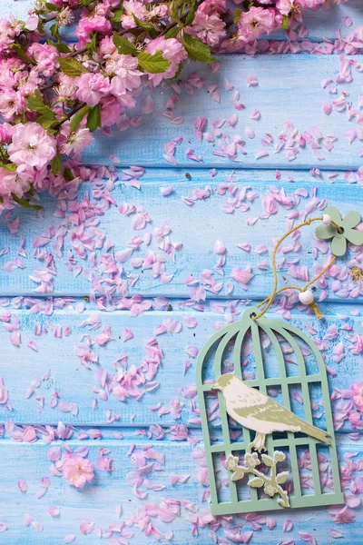 Розовые цветы на синих деревянных досках . — стоковое фото