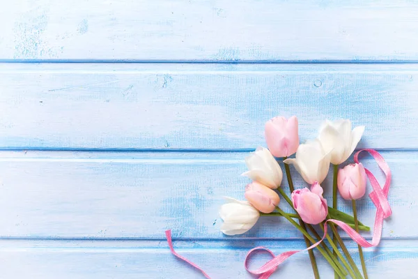 White and pink spring tulips — Stock Photo, Image