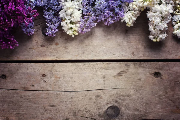 香りのよいライラック色の花との境界します。 — ストック写真