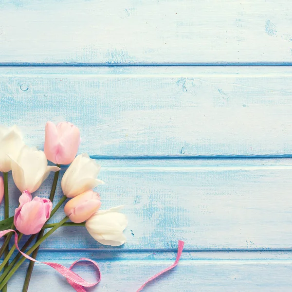 Witte en roze spring tulpen — Stockfoto