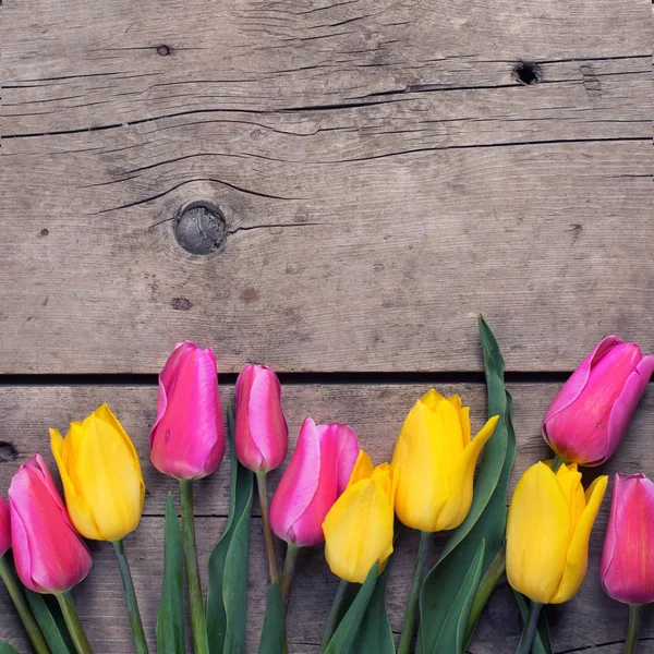 Tulipanes de primavera amarillos y rosas — Foto de Stock