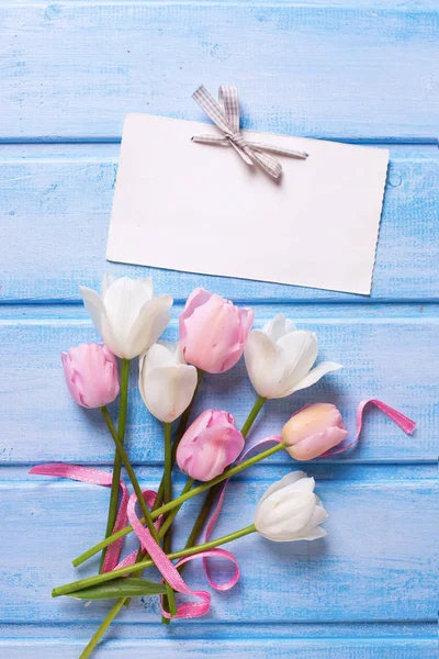 Біло-рожеві весняні тюльпани — стокове фото