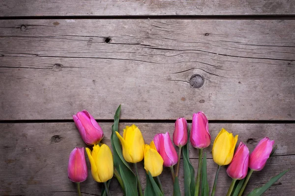 Gula och rosa våren tulpaner — Stockfoto