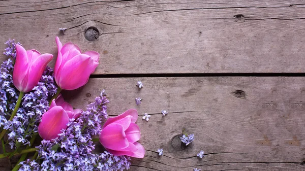 Fialová a růžová tulipánů květiny — Stock fotografie