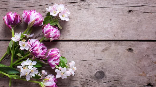 チューリップとアップル ツリーの花 — ストック写真