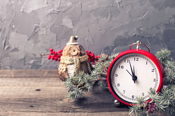 Dekoratif baykuş ve dalları köknar ağacı 