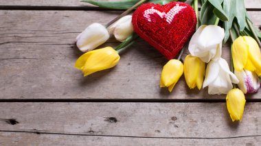 Sarı ve beyaz bahar laleler 