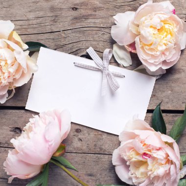 pembe peonies çiçek ve boş etiket 