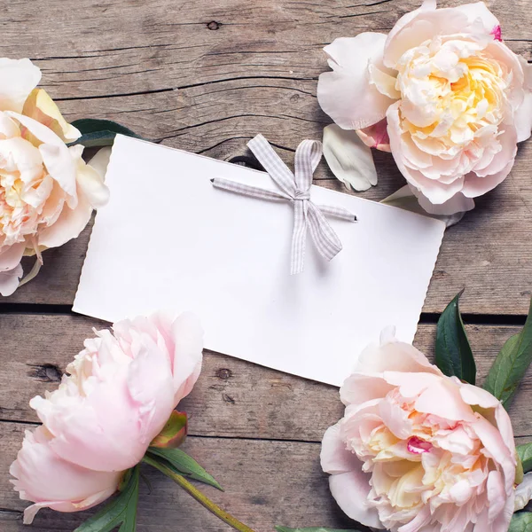 Flores peônias rosa e etiqueta vazia — Fotografia de Stock