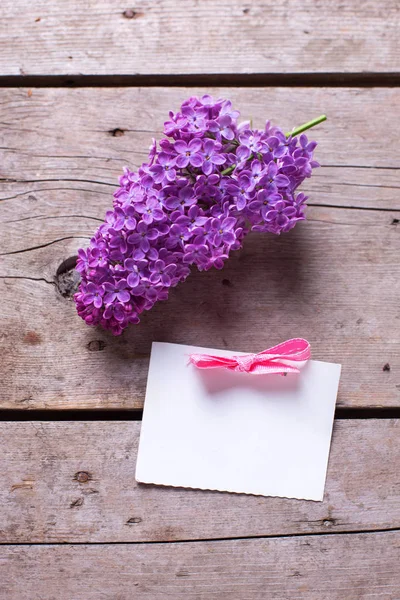 淡紫色的花和空标记 — 图库照片