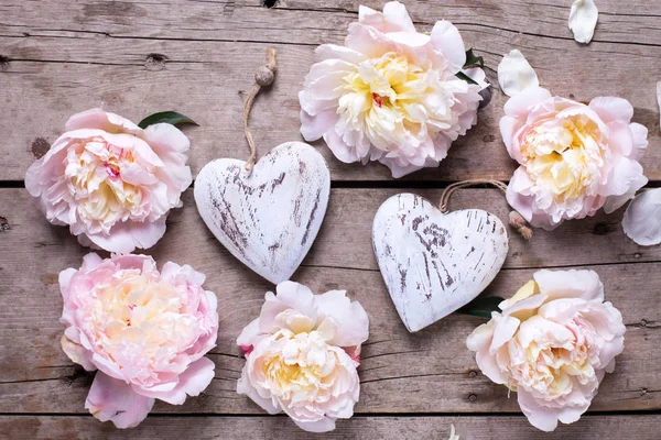 Corações decorativos e flores peônias rosa — Fotografia de Stock