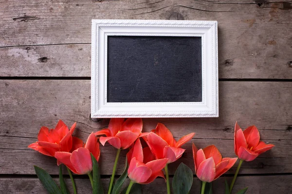 Empty blackboard  and fresh coral tulips — Stock Photo, Image
