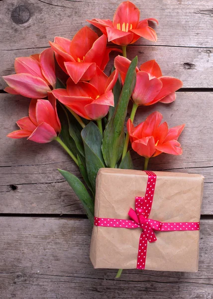 Bouquet de tulipes de corail et boîte enveloppée — Photo