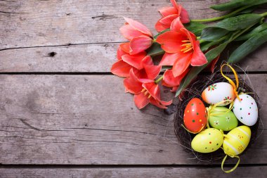 Dekoratif Paskalya yumurtaları ve bahar çiçekleri 