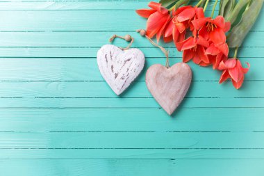 Bahar laleler ve dekoratif Kalpler