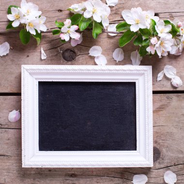 elma ağacı çiçek ahşap arka plan üzerinde