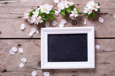 elma ağacı çiçek ahşap arka plan üzerinde