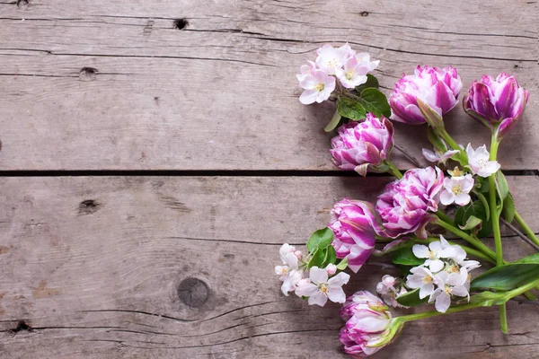 Tulipas de primavera e flores de macieira — Fotografia de Stock