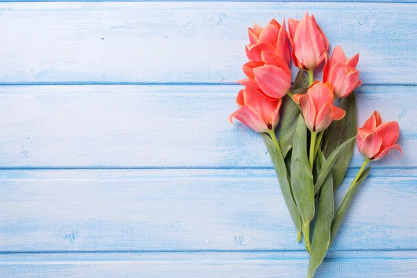 Весенние тюльпаны на деревянном фоне — стоковое фото