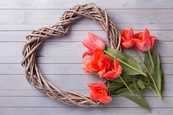 Vårtulipaner og dekorativt hjerte – stockfoto