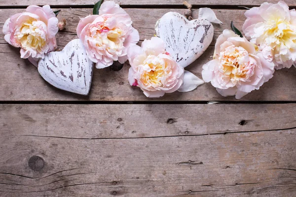 Розовые пионы и декоративные сердца — стоковое фото