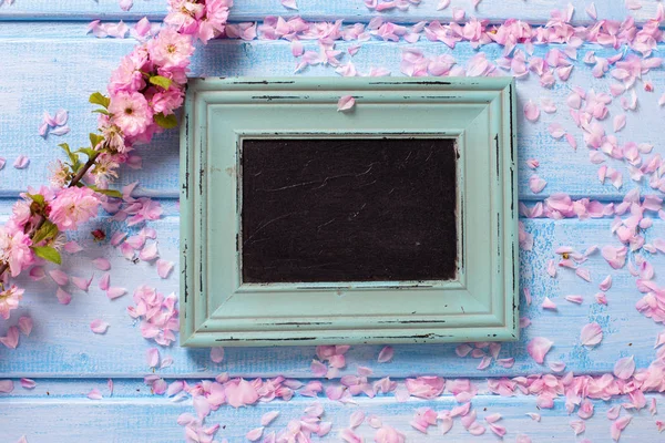 Pembe sakura çiçek ve boş yazı tahtası — Stok fotoğraf