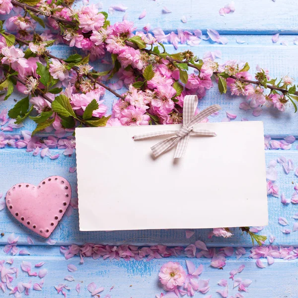 Etiqueta vazia e flores sakura rosa — Fotografia de Stock