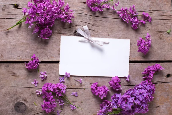 Flores de lila y etiqueta vacía —  Fotos de Stock