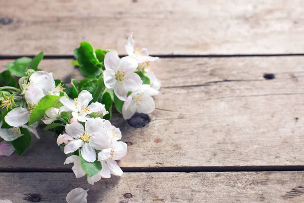 苹果树花上木制背景 — 图库照片