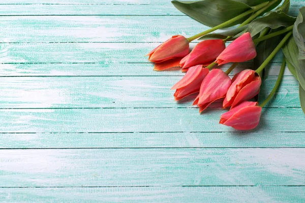 Spring tulips on wooden background — Stock Photo, Image