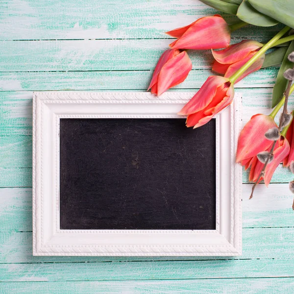 Tulipas de primavera e quadro-negro vazio — Fotografia de Stock