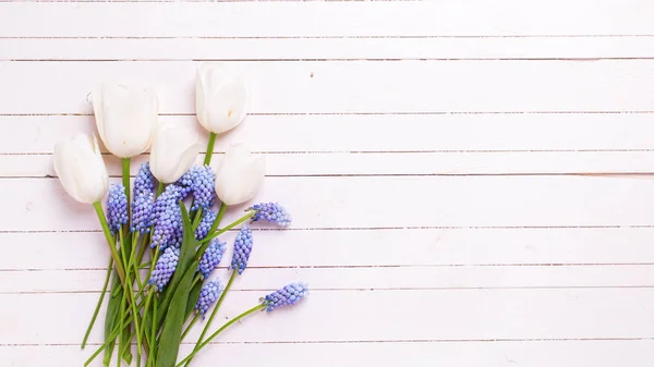 Flores de primavera sobre fondo de madera —  Fotos de Stock