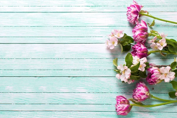 Весняні тюльпани та квіти яблуні — стокове фото
