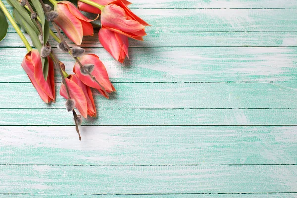 Tulipani primaverili su fondo di legno — Foto Stock