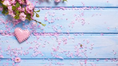 Pembe sakura çiçek ve dekoratif kalp 