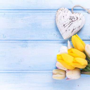 Sarı ve beyaz bahar laleler 