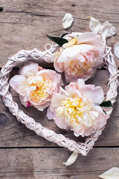 Dekorativní srdce a květiny růžové pivoňky — Stock fotografie