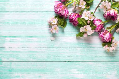 Lale çiçek ve elma ağacı çiçek 