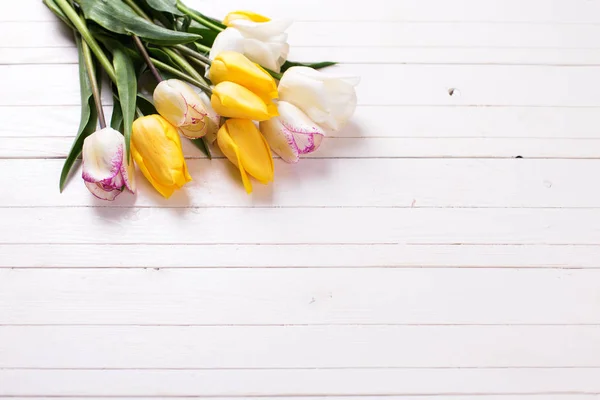 Gelbe und weiße Frühlingstulpen — Stockfoto