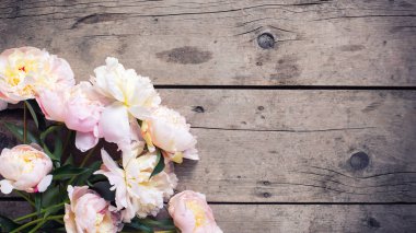 Ahşap arka plan üzerinde taze pembe peonies çiçekler.
