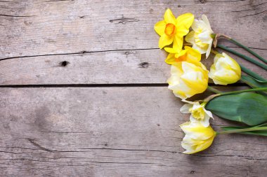 Antika ahşap zemin üzerine Sarı laleler ve Nergis çiçekleri