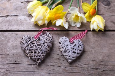 Sarı laleler ve Nergis çiçekleri