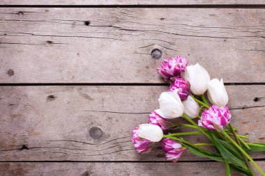 Düz yatıyordu natürmort. 