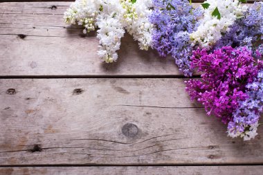 Bahar çiçeği arkaplanı. 